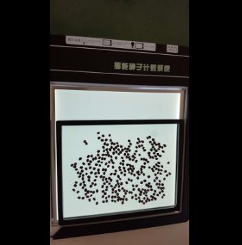 新葡萄(8883·AMG)官方网站