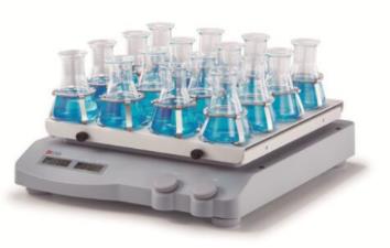 新葡萄(8883·AMG)官方网站