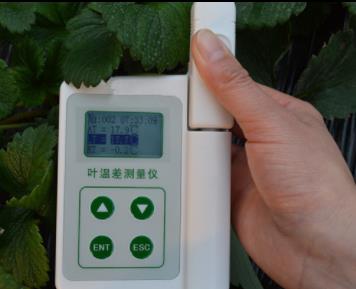 新葡萄(8883·AMG)官方网站