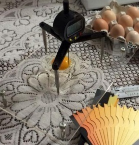 新葡萄(8883·AMG)官方网站