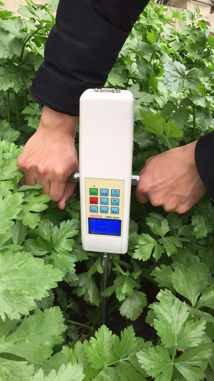 新葡萄(8883·AMG)官方网站