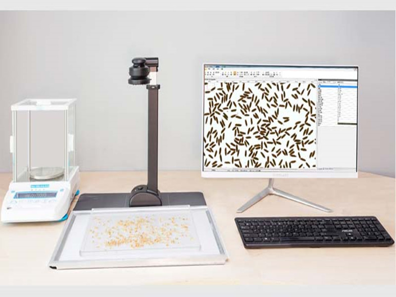 新葡萄(8883·AMG)官方网站